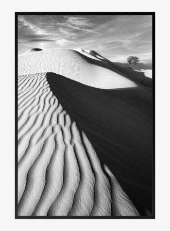 Solitude in Sands Print