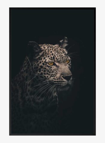 ภาพพิมพ์ผู้สังเกตการณ์เงียบ