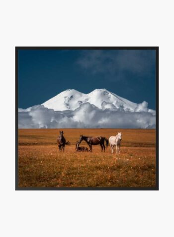 ภาพพิมพ์ความยิ่งใหญ่แห่งทุ่งราบ
