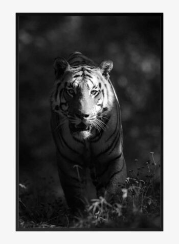 ภาพพิมพ์ขาวดำสุดอลังการ