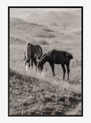 Grazing in the Grains Print
